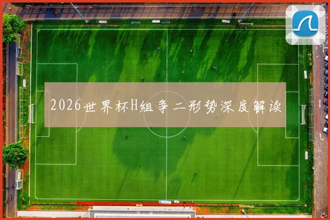 2026世界杯H组争二形势深度解读