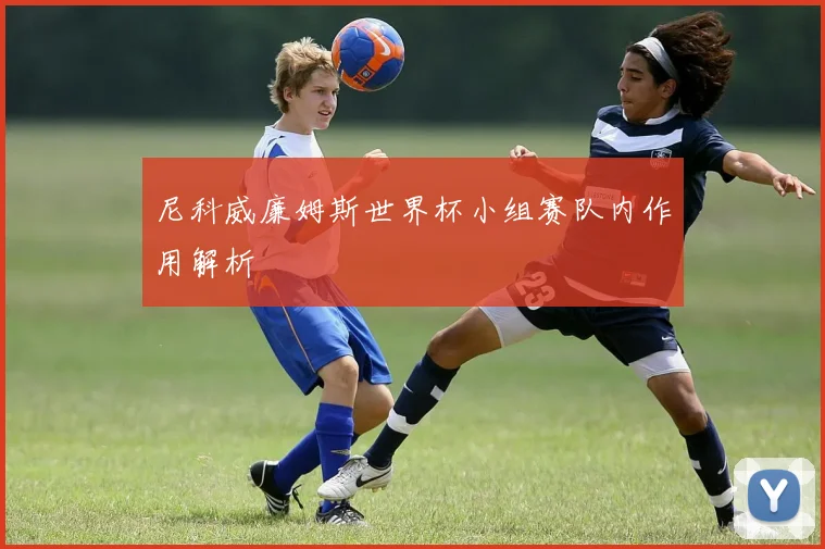 尼科威廉姆斯世界杯小组赛队内作用解析